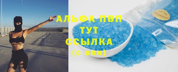бошки Ладушкин
