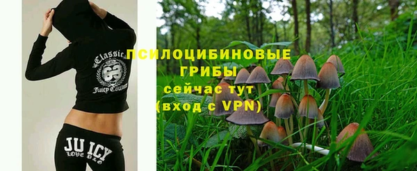 ALPHA PVP Лагань