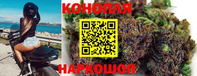 МДПВ Краснознаменск