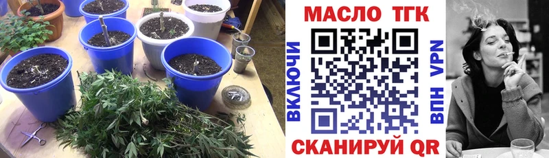 купить  цена  Мелеуз  ТГК Wax 